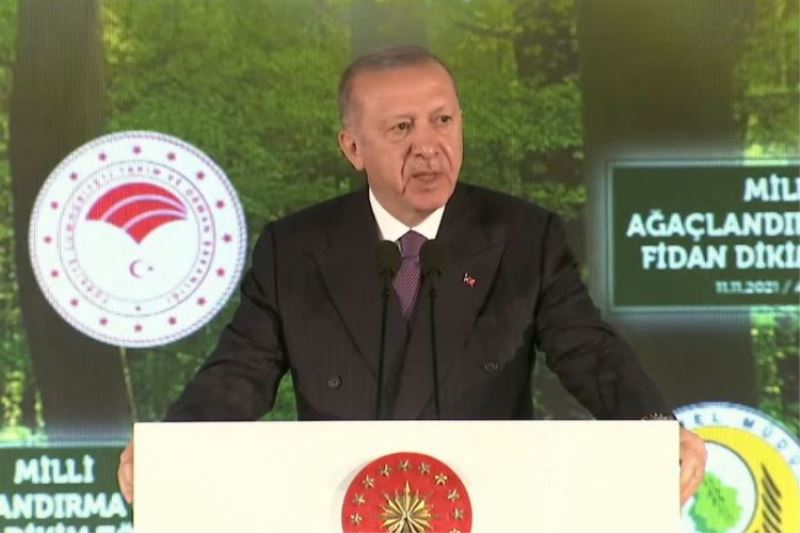 Erdoğan