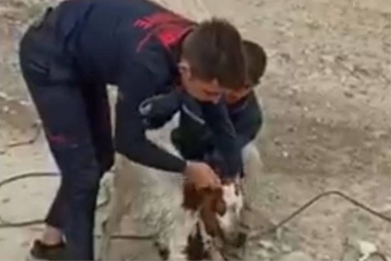 Kayseri itfaiyesinden keçi operasyonu