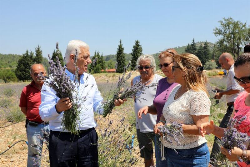 Muğla koku vadisine marka tescili alındı