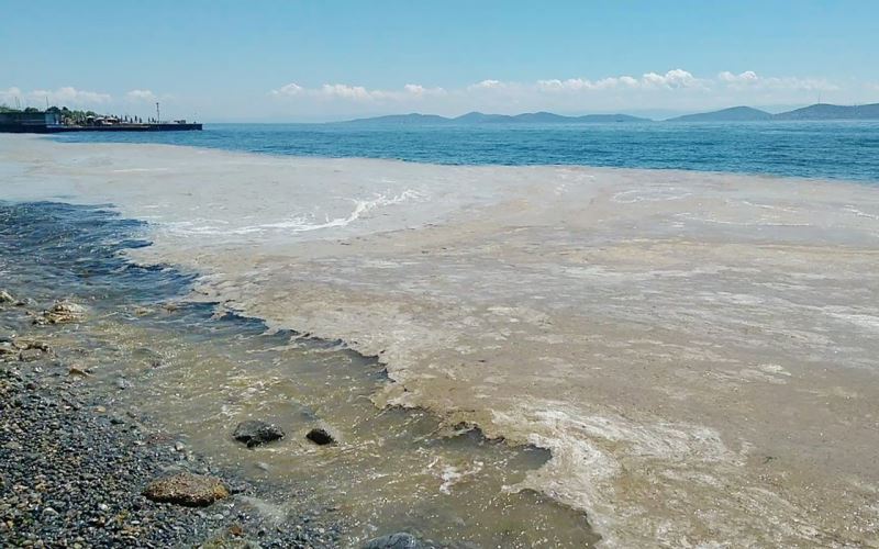 Bakan Kurum’dan müsilaj temizliği açıklaması