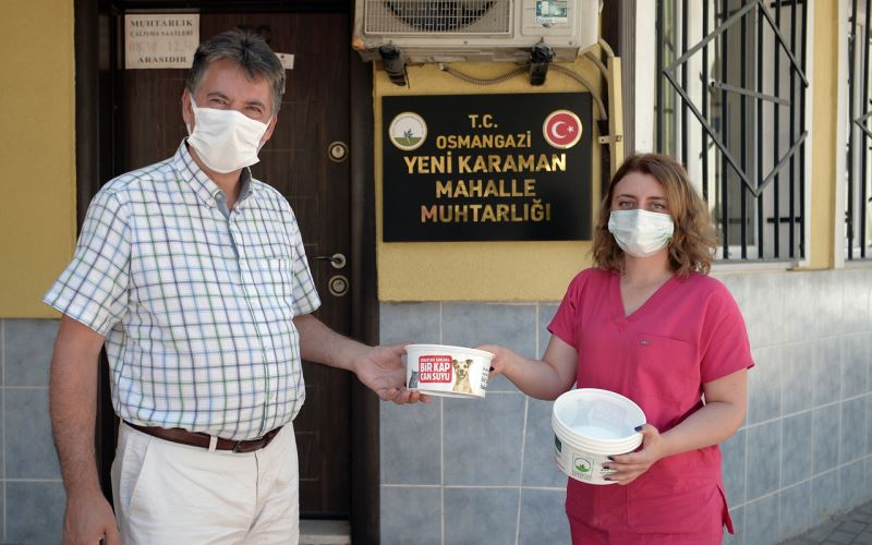 Bursa Osmangazi’de can dostlara su kabı