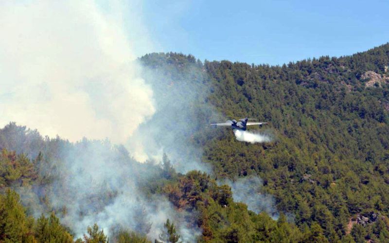 Uzmanlar açıkladı: Yangınlar aynı anda nasıl başladı?