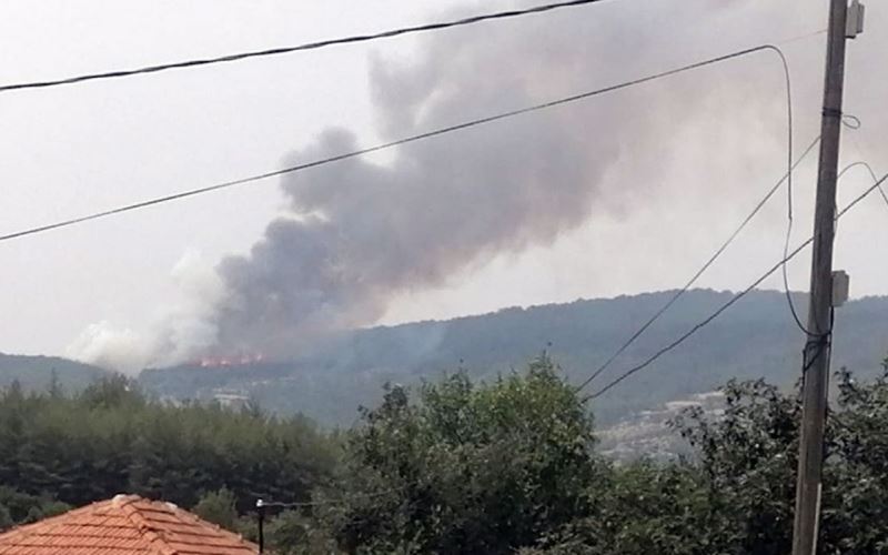 Aydın Bozdoğan’da orman yangını başladı