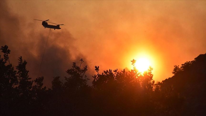 Muğla ve ilçelerindeki orman yangınlarıyla ilgili 15