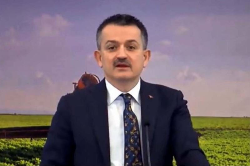 Genç girişimcilere 