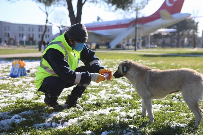 Sakarya Büyükşehir yılın en soğuk günlerinde onlar için sahada 