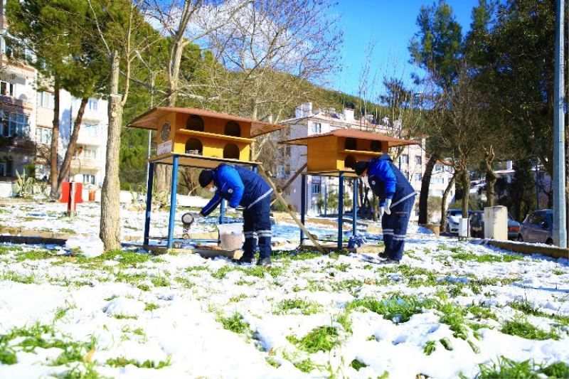 Muğla Büyükşehir, sokak hayvanlarının yanında