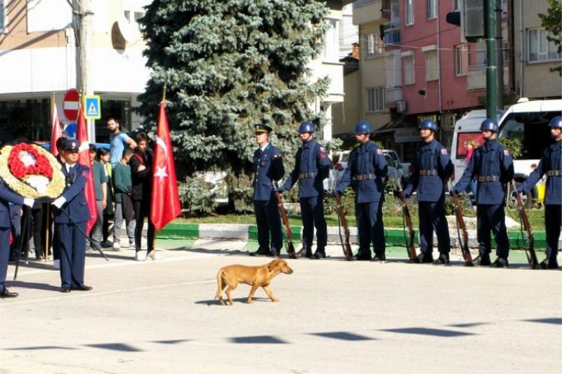 Bursa Yenişehir