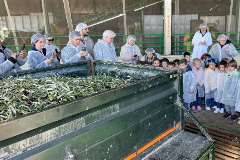 İspanyollardan Türk zeytin zeytinyağına yoğun ilgi