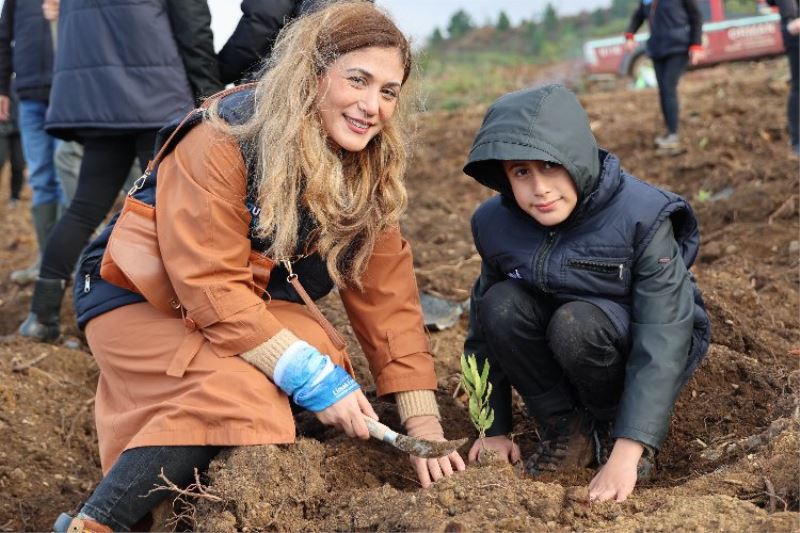 Uludağ Elektrik Yalova