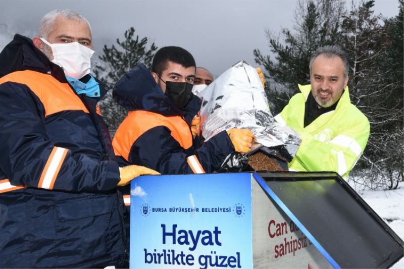 Bursa Büyükşehir can dostları sahipsiz bırakmıyor