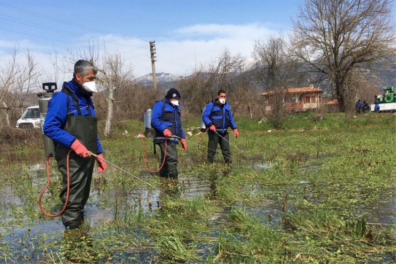 Muğla Büyükşehir’den Karabağlar Yaylası’nda vektörle mücadele