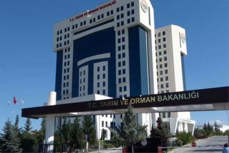 Tarım ve Orman