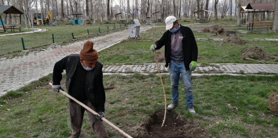 Pasinler Belediyesi ağaçlandırma çalışmalarına başladı