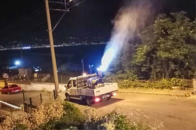 Giresun’da belediye sineklere savaş açtı