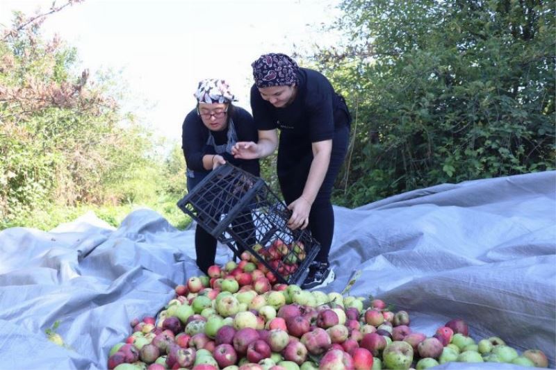 Düzce’de 