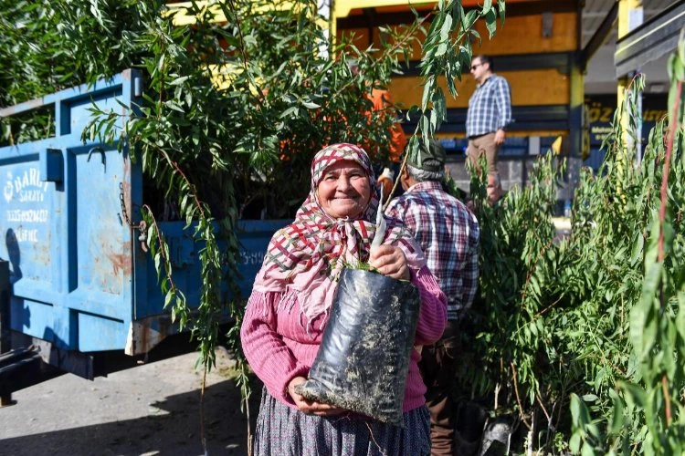 Çiftçiye badem fidanı desteği