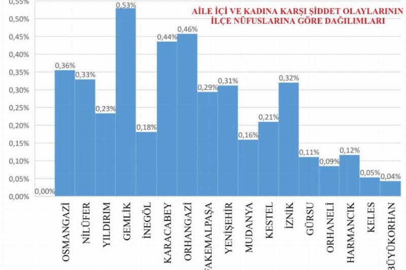 Eylem planında kadın şiddet gerçeği