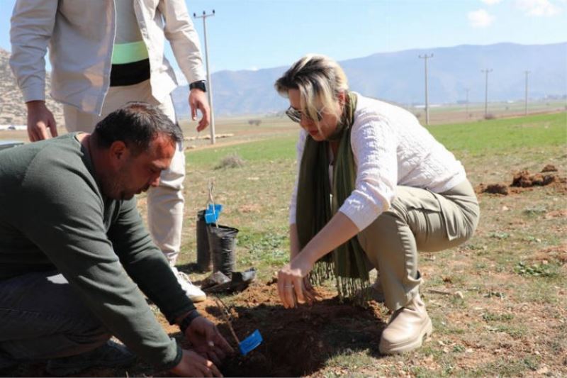 Antalyalı çiftçiler antepfıstığı üretecek