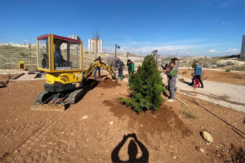 Mardin Artuklu Belediyesi kenti yeşillendiriyor