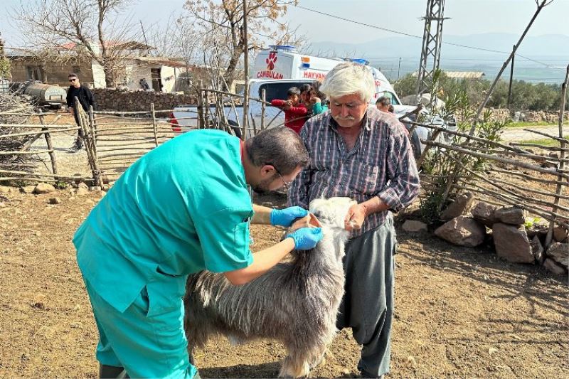 Konya, Hatay