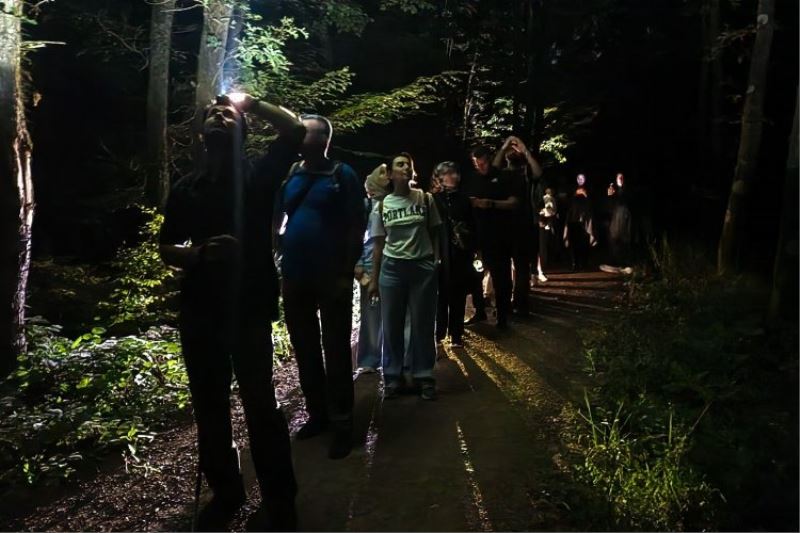 Ormanya’da macera dolu gece yürüyüşü... Yarasa dinletisi yapıldı