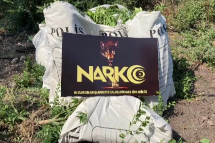 Bursa NARKO