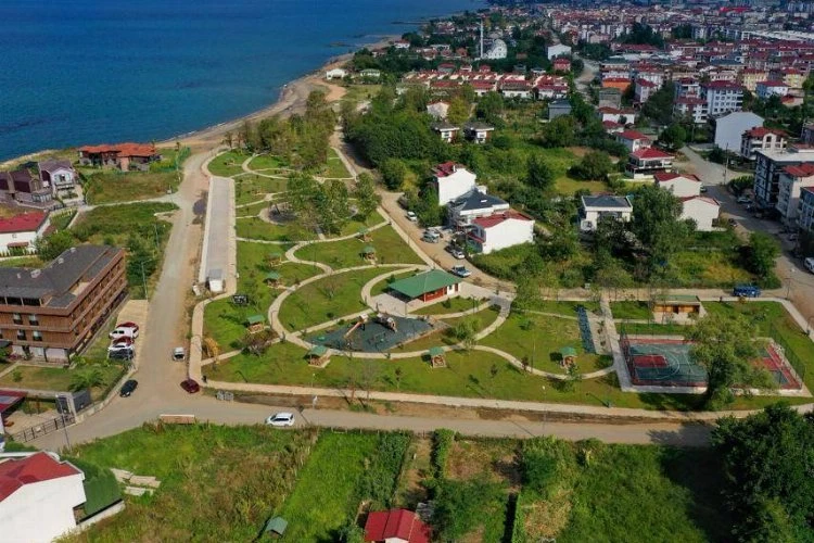 Ordu