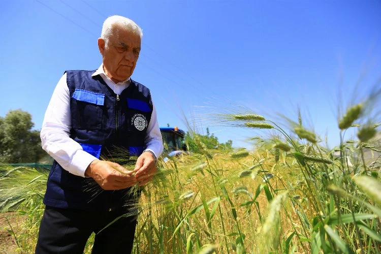 Muğla üretiyor, Büyükşehir destekliyor