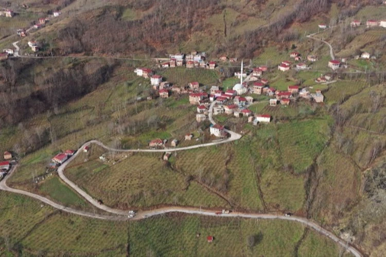 Ordu