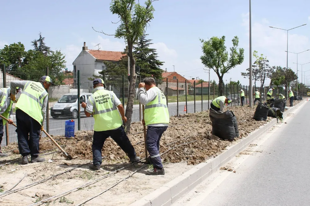 Eskişehir Büyükşehir Belediyesi park ve bahçeler için eleman alımı yapacak