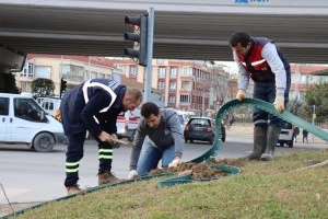 TONAMİ MEYDANI’NDA DEKORATİF PEYZAJ ÇALIŞMASI