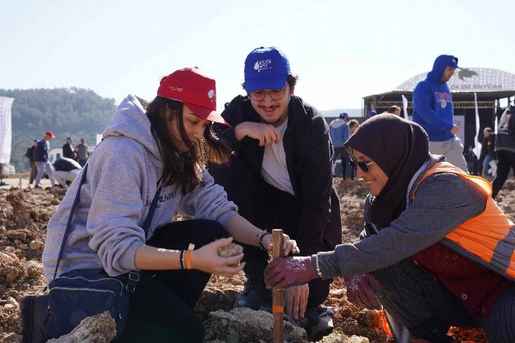 Milas’taki eski maden sahası yeşertildi