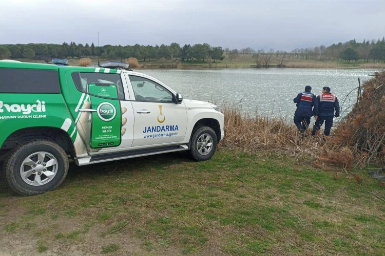 Edirne Jandarması’ndan Küküler Gölünde kaçak avcılığa denetim