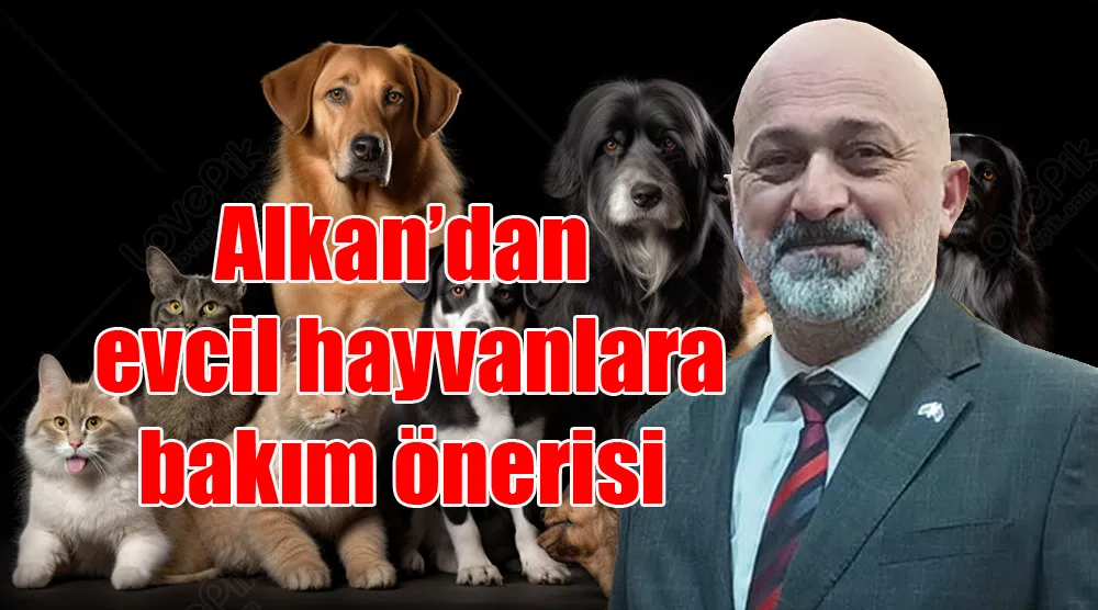 Alkan’dan evcil hayvanlara bakım önerisi