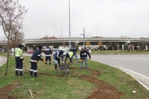 PEYZAJ VE BUDAMA ÇALIŞMALARI DEVAM EDİYOR