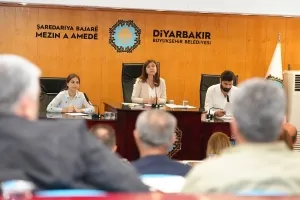 Eşbaşkan Bucak, Konya ve Cenevre