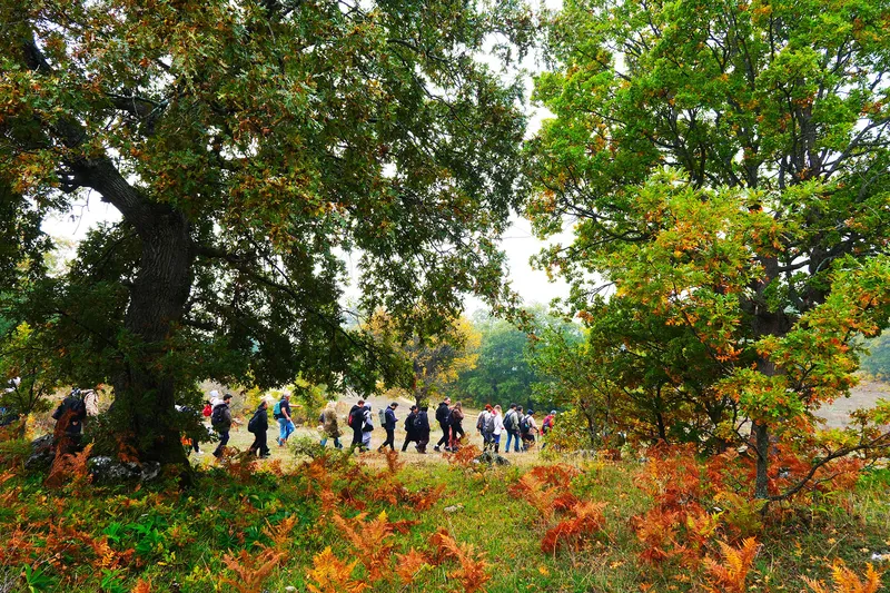 Kılıçkaya Zirvesi