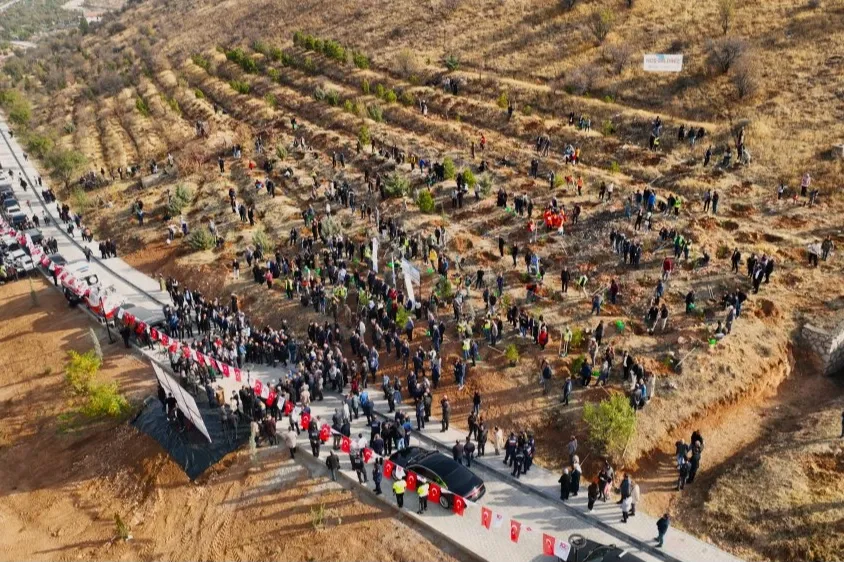 Deprem Şehitleri Hatıra Ormanı yenileniyor