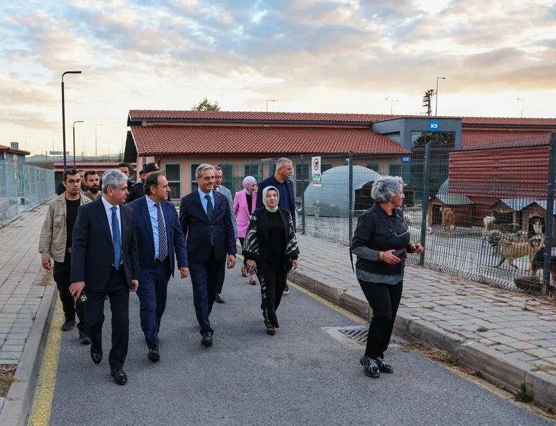 Sokak Hayvanları Doğal Yaşam Kampüsü Yakında Hizmete Giriyor