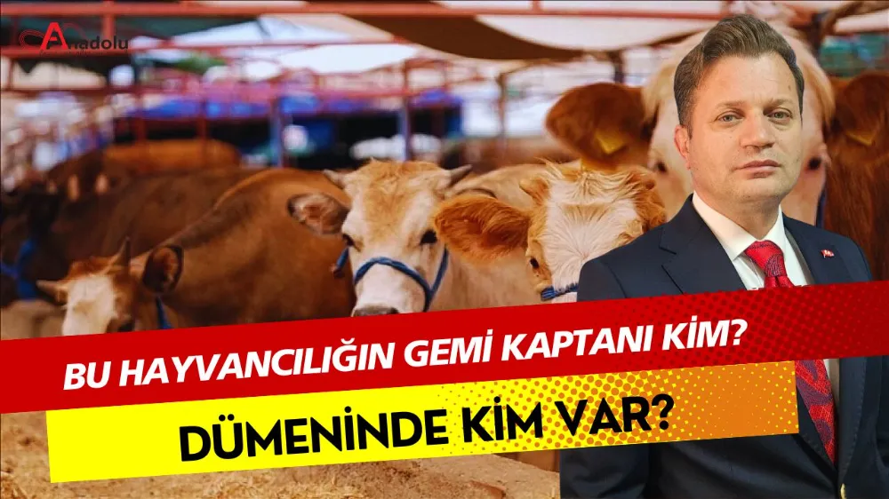 Bu Hayvancılığın Gemi Kaptanı Kim? Dümeninde Kim Var?