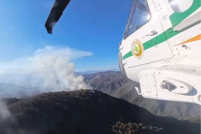 İran’daki orman yangınlarına Türkiye