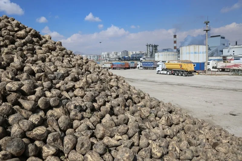 Konya Pancar Ekicileri bu yıl verimden memnun