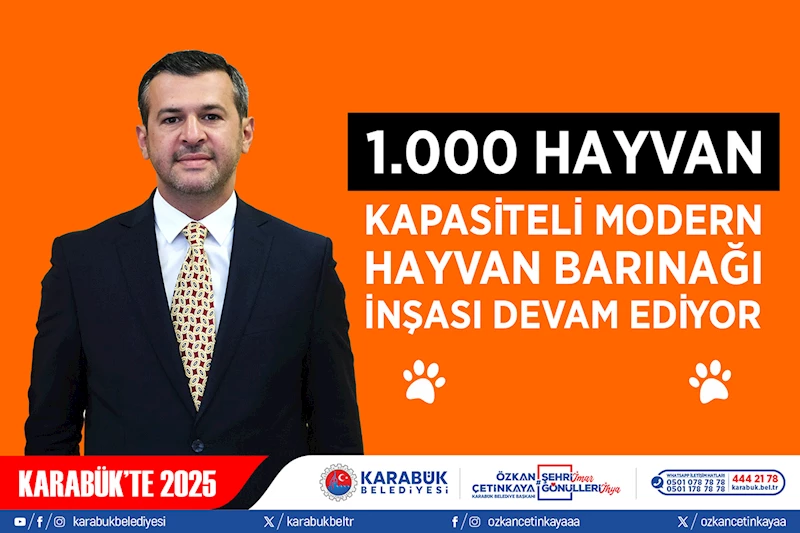 Sokak Hayvanları İçin 1.000 Kapasiteli Modern Barınak İnşası Devam Ediyor