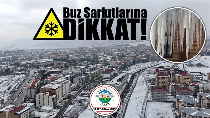 BUZ SARKITLARINA DİKKAT!!