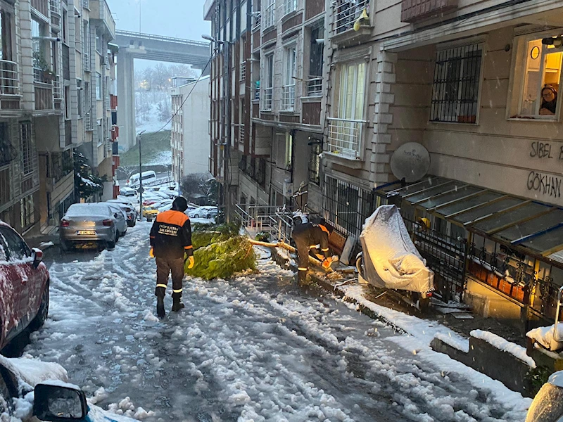 Kar yağışı sonrası kırılan ağaçlar kaldırılıyor