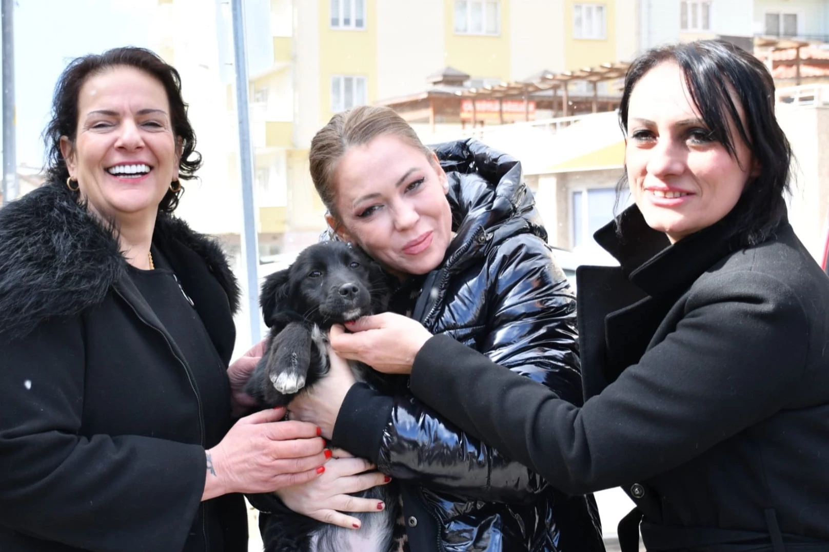 Manisa’da sokak hayvanları için ortak akıl