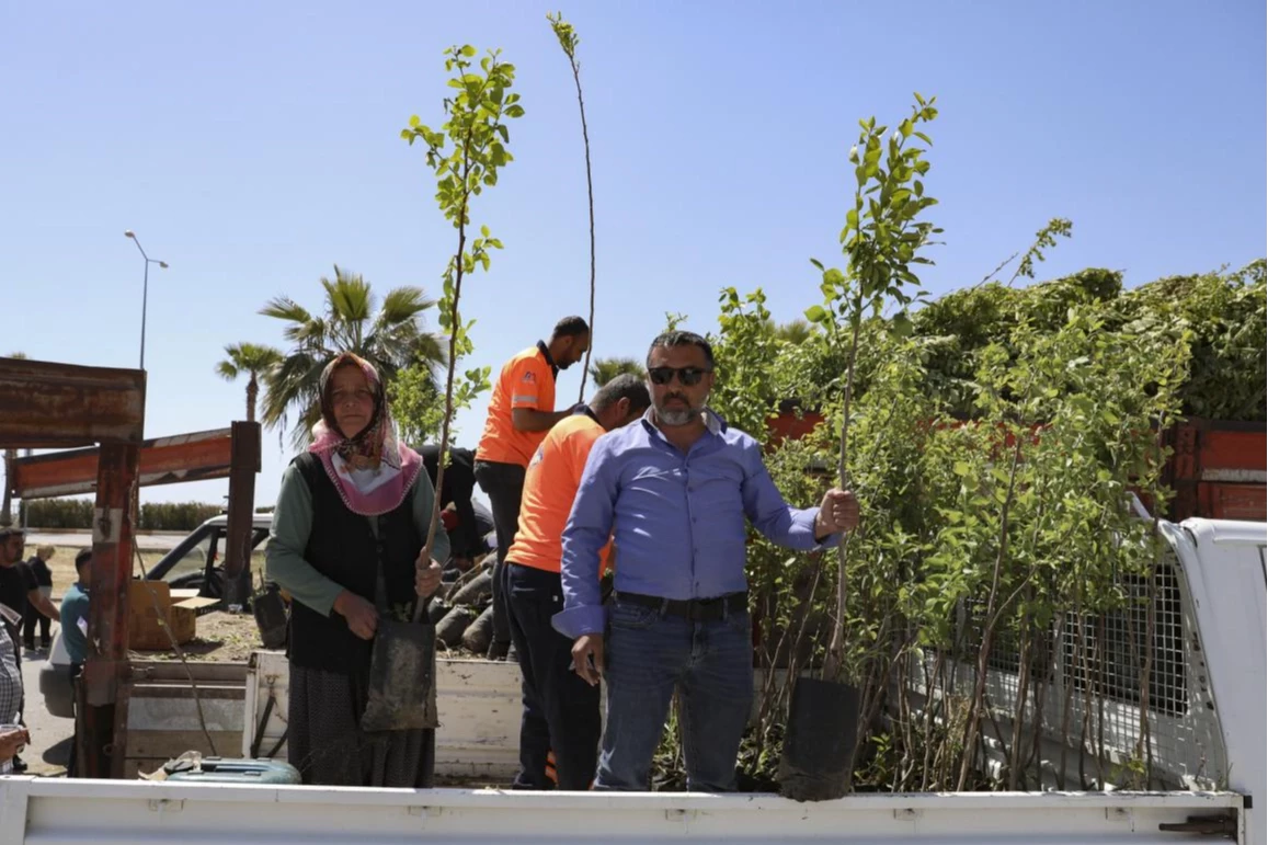 Mersinli çiftçiler Trabzon Hurması üretecek