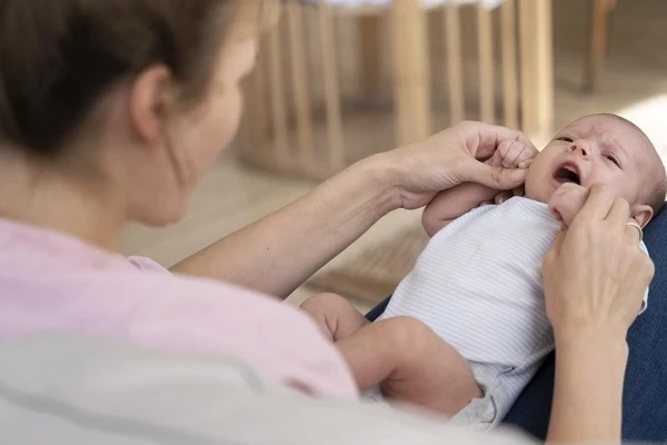 Doğum yardımına başvurular başladı