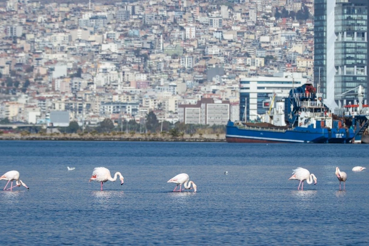 İzmir’in iklim krizi ile mücadelesi güçleniyor